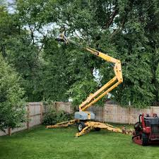 Best Soil Testing and Treatment  in Carrizo Hill, TX