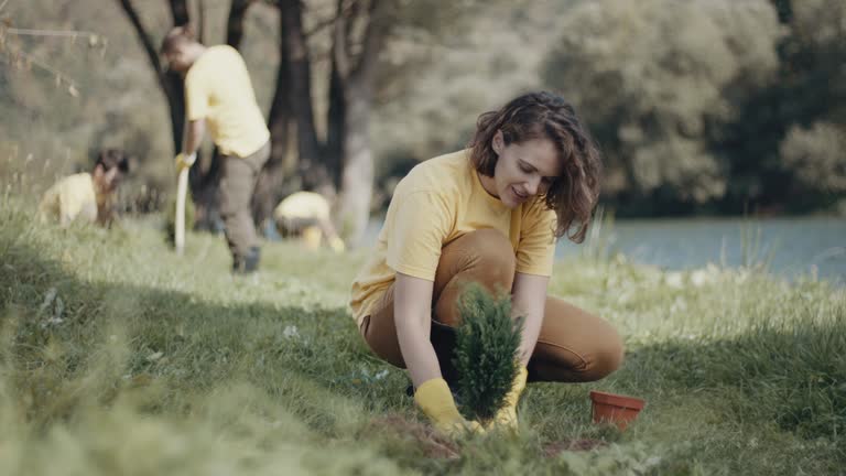 Best Grass Overseeding  in Carrizo Hill, TX